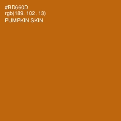 #BD660D - Pumpkin Skin Color Image